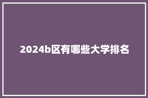 2024b区有哪些大学排名