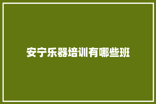 安宁乐器培训有哪些班 工作总结