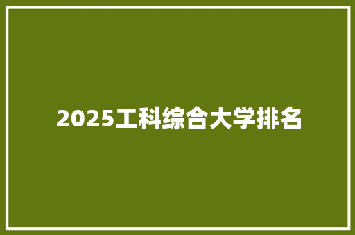 2025工科综合大学排名 会议纪要