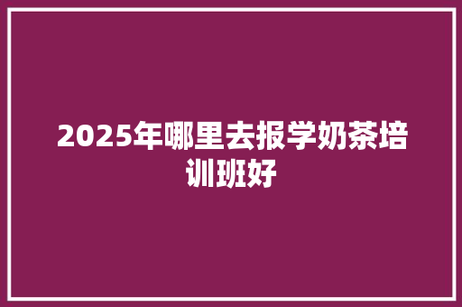 2025年哪里去报学奶茶培训班好 工作总结