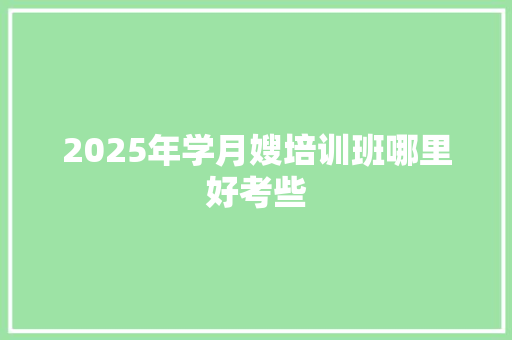 2025年学月嫂培训班哪里好考些 工作总结