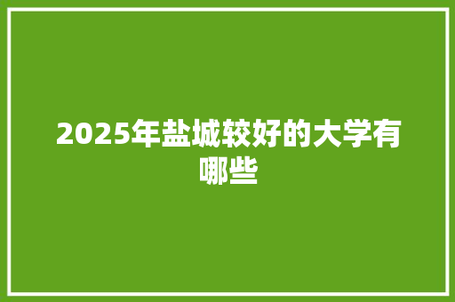 2025年盐城较好的大学有哪些 工作总结