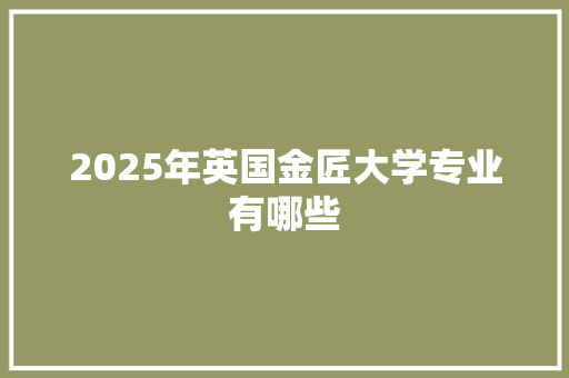 2025年英国金匠大学专业有哪些