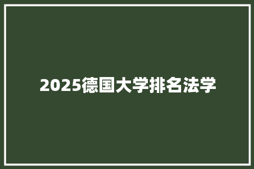 2025德国大学排名法学 工作总结