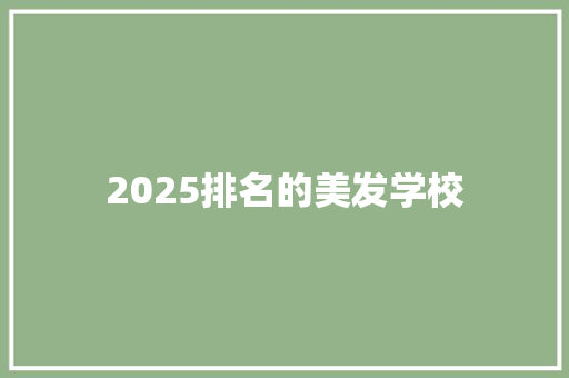 2025排名的美发学校 会议纪要