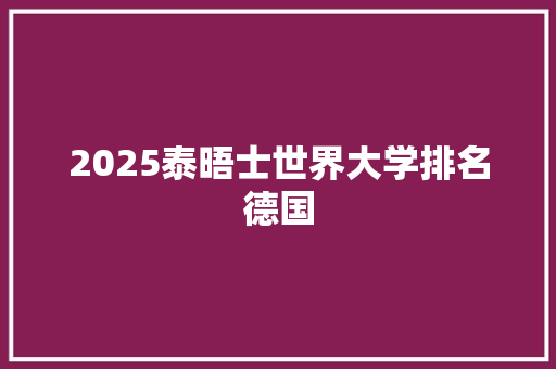 2025泰晤士世界大学排名德国 项目报告