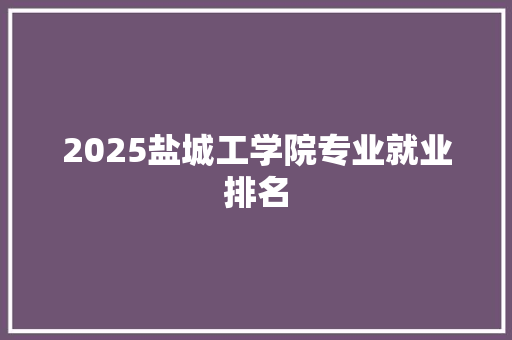 2025盐城工学院专业就业排名