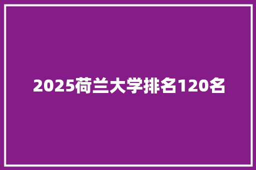 2025荷兰大学排名120名 职场写作