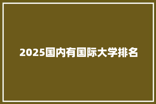 2025国内有国际大学排名