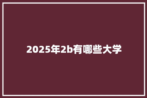 2025年2b有哪些大学