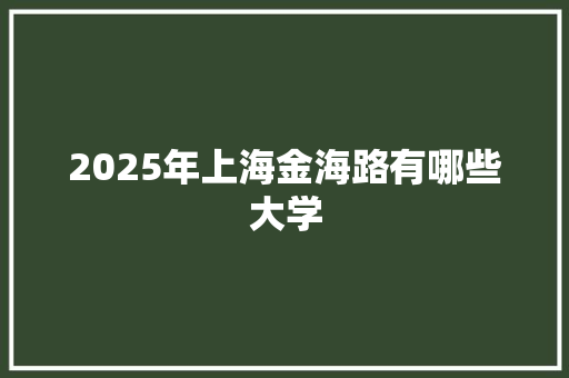 2025年上海金海路有哪些大学 应用文