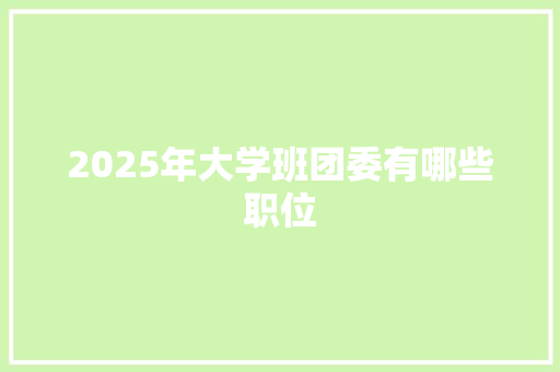 2025年大学班团委有哪些职位 项目报告