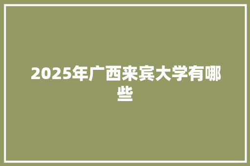 2025年广西来宾大学有哪些 职场写作