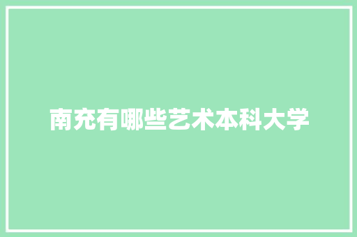 南充有哪些艺术本科大学 会议纪要