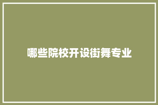 哪些院校开设街舞专业 会议纪要