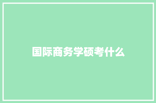 国际商务学硕考什么 工作总结