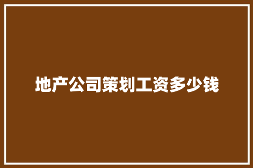 地产公司策划工资多少钱 社交媒体
