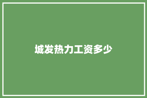 城发热力工资多少