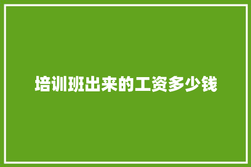 培训班出来的工资多少钱