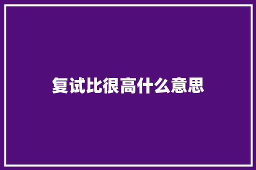 复试比很高什么意思 项目报告
