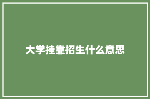 大学挂靠招生什么意思