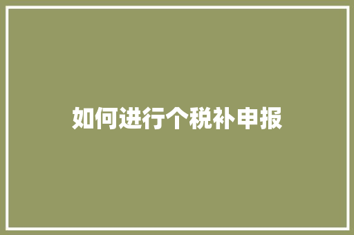 如何进行个税补申报 应用文