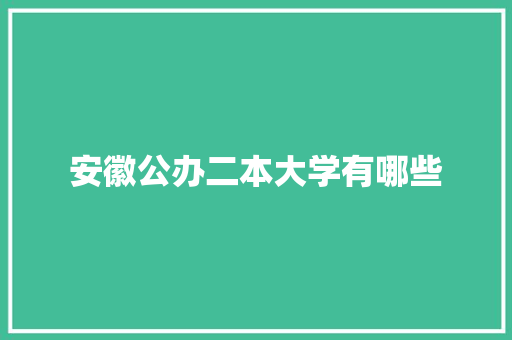 安徽公办二本大学有哪些 应用文