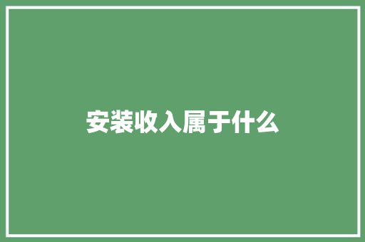 安装收入属于什么