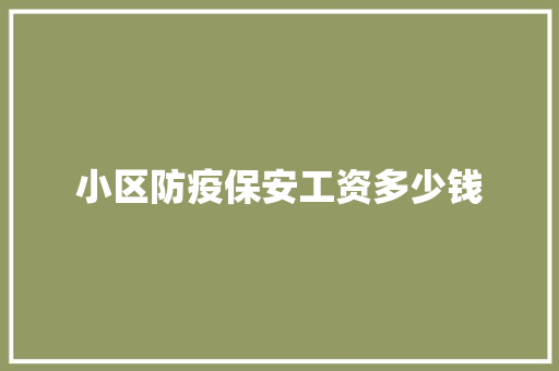 小区防疫保安工资多少钱