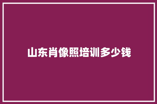 山东肖像照培训多少钱