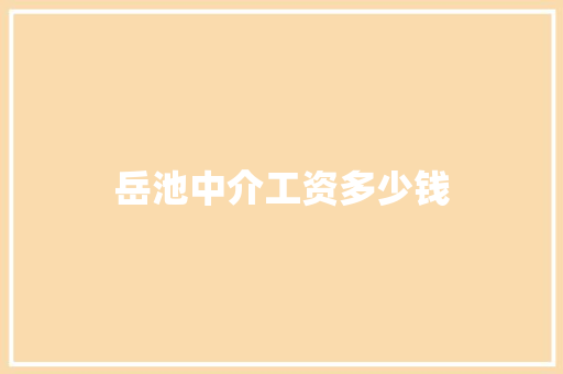 岳池中介工资多少钱 项目报告