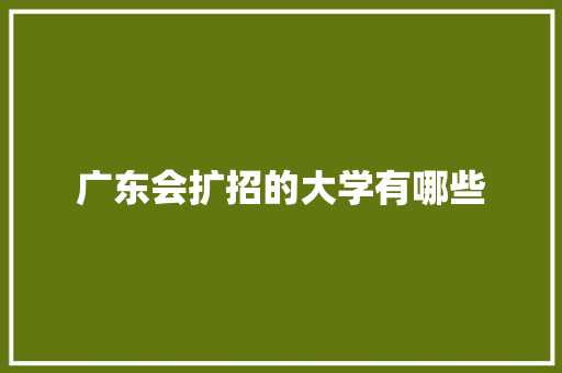 广东会扩招的大学有哪些