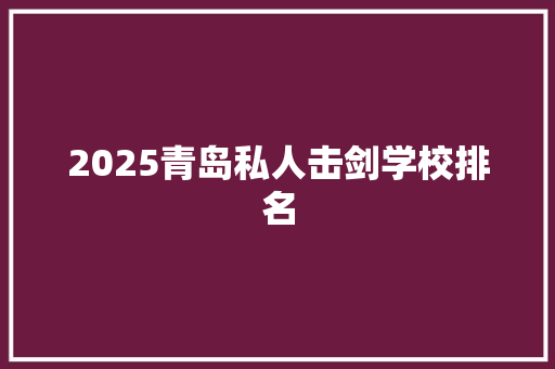 2025青岛私人击剑学校排名 会议纪要