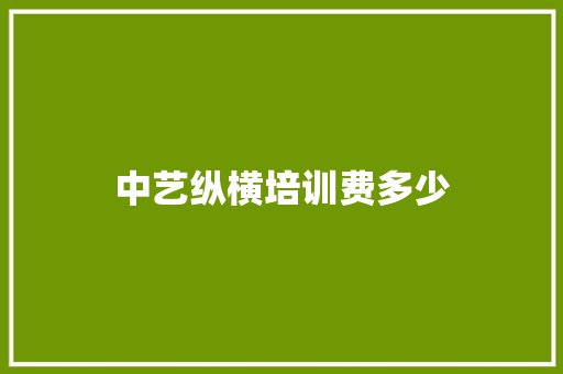 中艺纵横培训费多少 工作总结