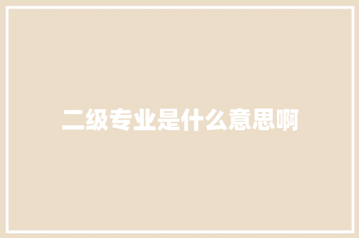 二级专业是什么意思啊