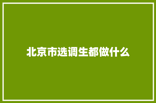 北京市选调生都做什么