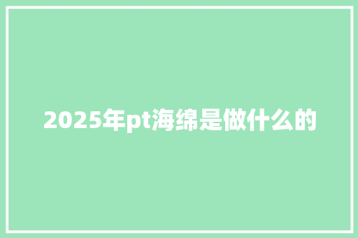 2025年pt海绵是做什么的