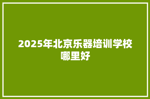 2025年北京乐器培训学校哪里好 应用文