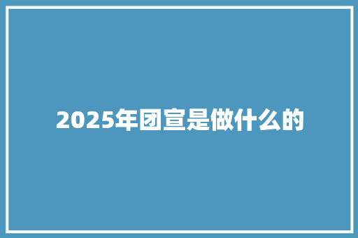 2025年团宣是做什么的