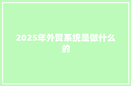 2025年外贸系统是做什么的