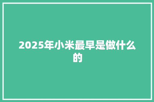 2025年小米最早是做什么的