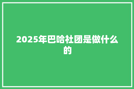 2025年巴哈社团是做什么的 工作总结