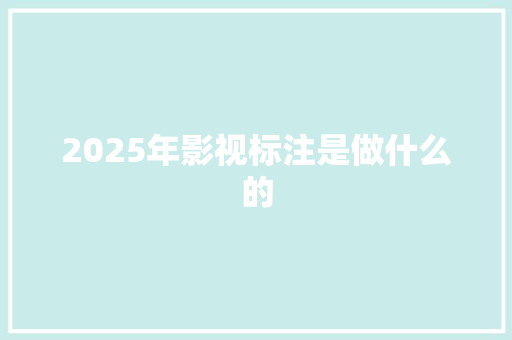 2025年影视标注是做什么的