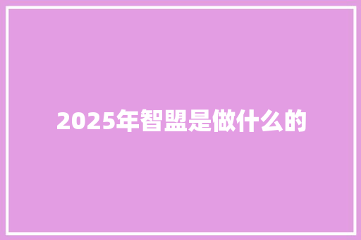 2025年智盟是做什么的 社交媒体