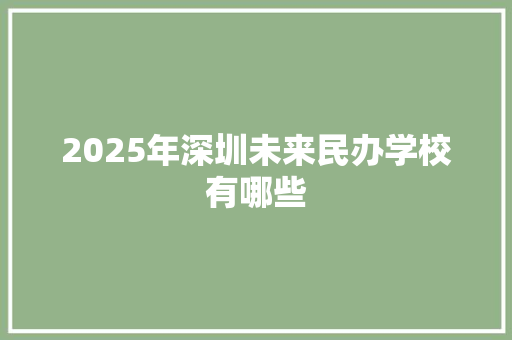 2025年深圳未来民办学校有哪些