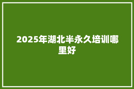 2025年湖北半永久培训哪里好