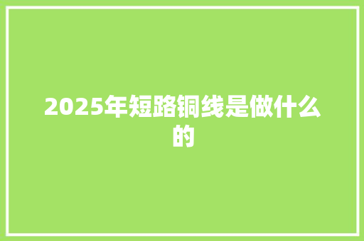 2025年短路铜线是做什么的 项目报告