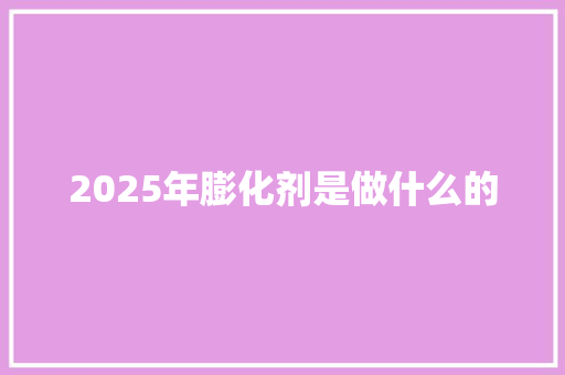 2025年膨化剂是做什么的