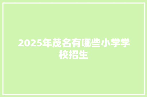 2025年茂名有哪些小学学校招生