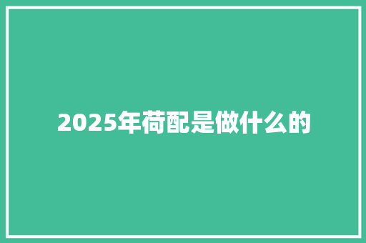 2025年荷配是做什么的